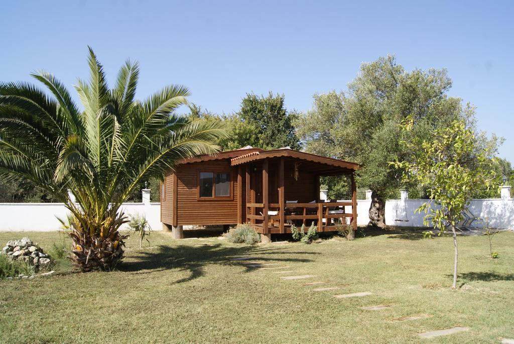 سفيريهيسار Liberta Guesthouse المظهر الخارجي الصورة