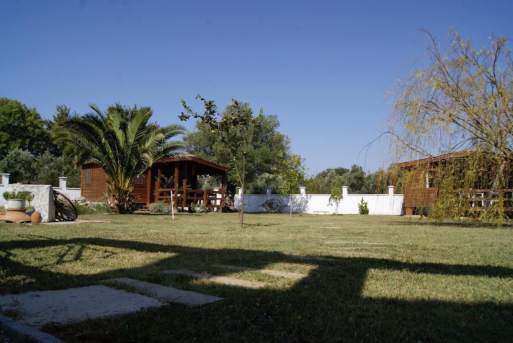 سفيريهيسار Liberta Guesthouse المظهر الخارجي الصورة